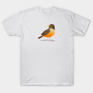 Rufous Bellied Thrush bird T-Shirt